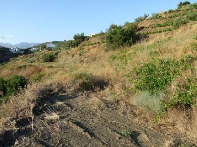 Terreno se vende en Torrox, Costa del Sol, Axarquia