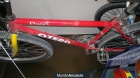 cambio bicicleta mtt mountain bike por plegable - mejor precio | unprecio.es