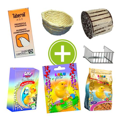 Pack de cría para canarios