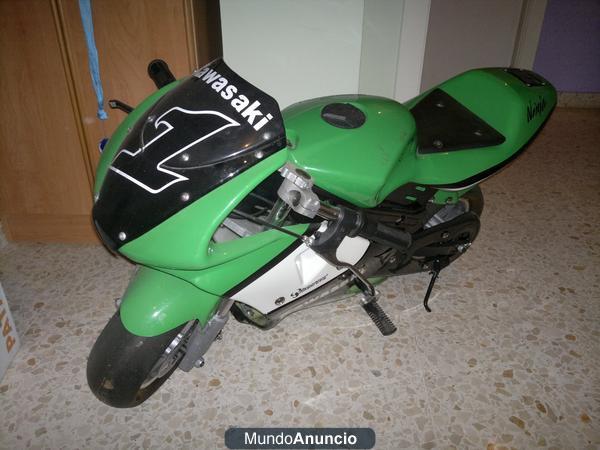 minimoto ninja