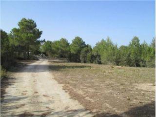 Terreno/Finca Rstica en venta en San Jose/Sant Josep, Ibiza (Balearic Islands)