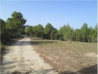 Terreno/Finca Rstica en venta en San Jose/Sant Josep, Ibiza (Balearic Islands) - mejor precio | unprecio.es