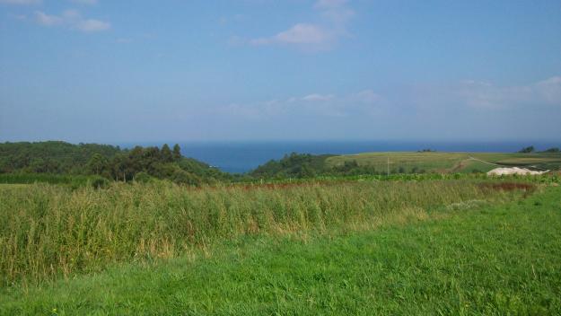 FINCA EDIFICABLE CON VISTAS AL MAR