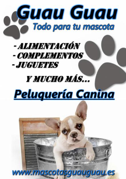 Nueva peluqueria canina en torremolinos desde 18€