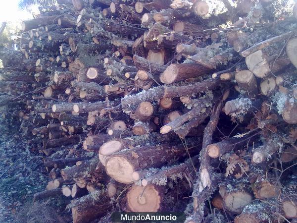 Leña de roble para estufas y calefacción.