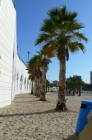Piso en Alicante/Alacant - mejor precio | unprecio.es