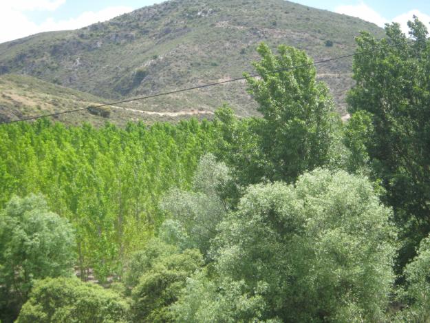 Bonita Finca de 10 Has. -Alhama de Granada.