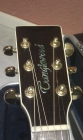 Tanglewood 1000B - mejor precio | unprecio.es