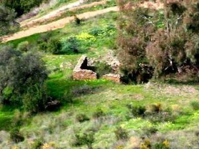 Terreno se vende en El Borge, Axarquia