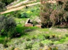 Terreno se vende en El Borge, Axarquia - mejor precio | unprecio.es