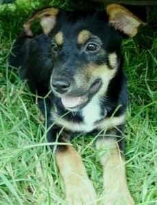 3 meses de edad y una mujer mixta