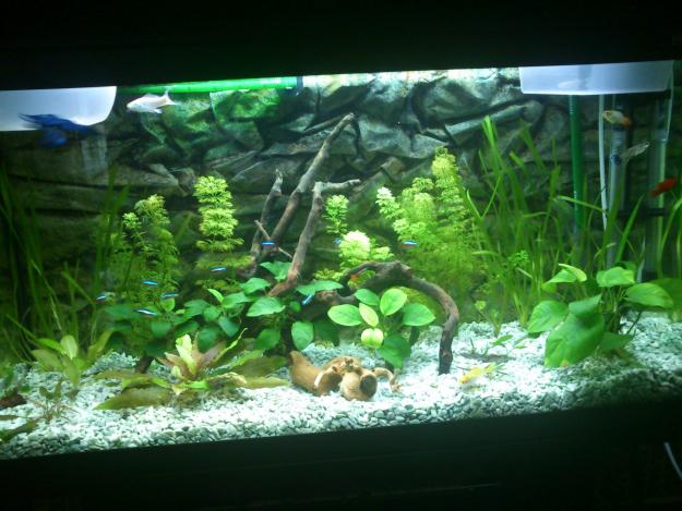 Acuario aqualight 100 litros completo y con mesa