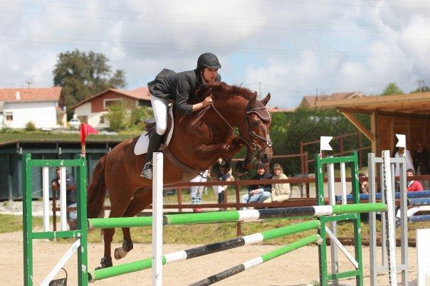 se ofrece caballo semental para cubrir