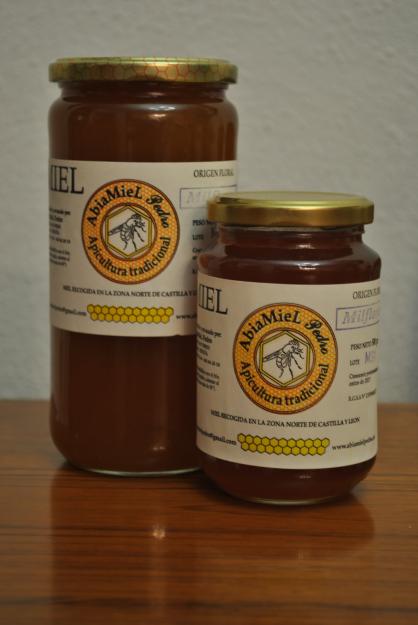 Abiamiel pedro produce y vende miel recogida en el norte de castilla y león