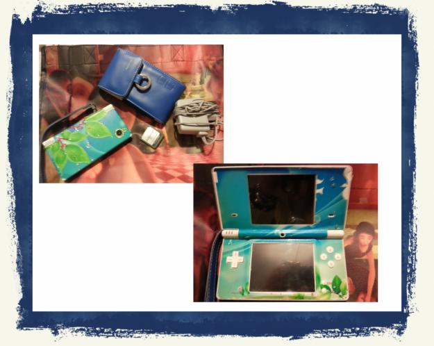 Nintendo dsi con cargador+funda de piel+varios