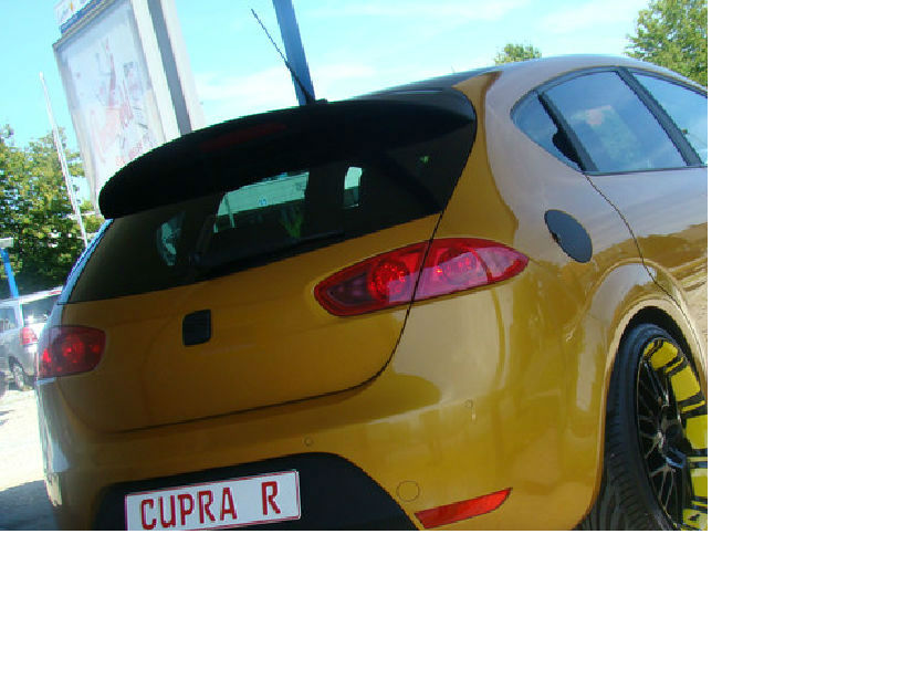 2011 Seat Leon 2.0 T FSI Cupra R