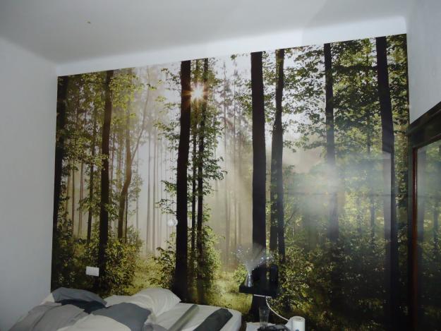 Pintor economico profesional (cual es tu presupuesto) te lo mejoramos