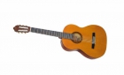 GUITARRA CLÁSICA NATURAL VALENCIA CG160 - mejor precio | unprecio.es