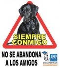 ...POR FAVOR NO COMPRES ANIMALES, ADOPTA Y SALVA VIDAS! - mejor precio | unprecio.es