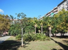 Piso en Barcelona - mejor precio | unprecio.es