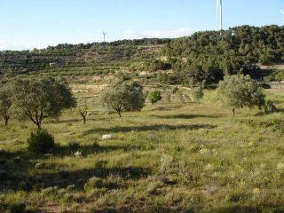 Finca/Casa Rural en venta en Vilalba dels Arcs, Tarragona (Costa Dorada)