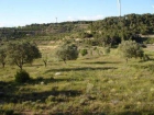 Finca/Casa Rural en venta en Vilalba dels Arcs, Tarragona (Costa Dorada) - mejor precio | unprecio.es