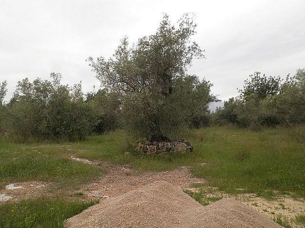 Finca rústica en Roquetes