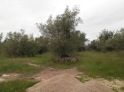 Finca rústica en Roquetes - mejor precio | unprecio.es