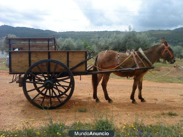 MULO CON CARRETA