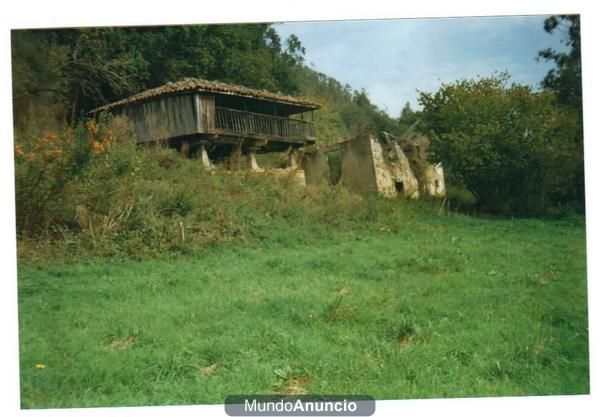 VENDO EN ASTURIAS CASA DE PIEDRA PARA REHABILITAR CON PANERA FINCA Y MONTE