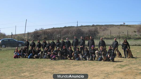 Adiestramiento Canino de todas las razas