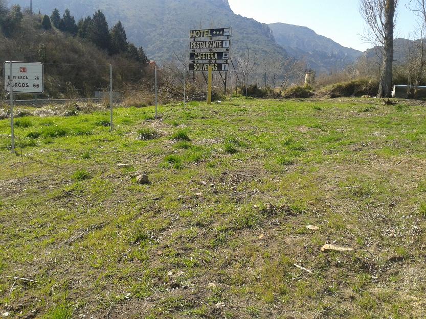 terreno con manantial propio