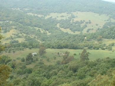 Terreno se vende en Cortes de la Frontera, Serrania de Ronda