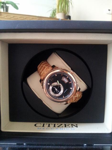 Citizen Mecanico NP3013 36E