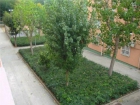 Piso en Badalona - mejor precio | unprecio.es