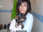 vendo yorkshire 3 meses y medio - mejor precio | unprecio.es