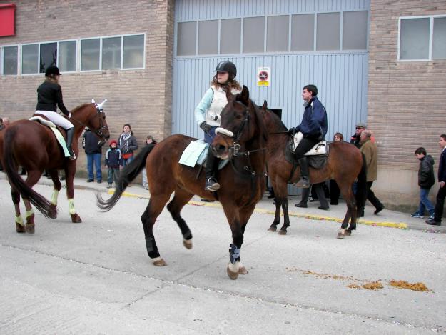 En venta caballo de salto