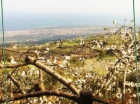 Casa rural : 2/8 personas - vistas a mar - sant'alfio catania (provincia de) sicilia italia - mejor precio | unprecio.es