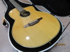 Guitarra clásica electrificada TAKAMINE TAN650C-NT cutaway con estuche - mejor precio | unprecio.es