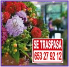 FLORISTERIA CENTRO SEVILLA - mejor precio | unprecio.es