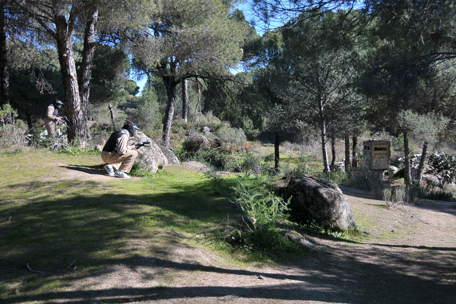 Paintball Andujar