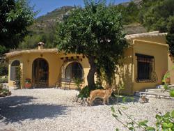 Se vende Finca en Jalon