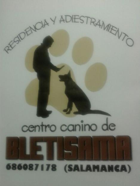 Centro canino de Bletisama