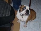 me venden por cambio de residencia - mejor precio | unprecio.es
