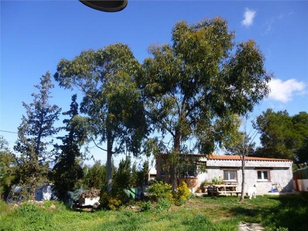 Casa en Canyelles ( Dalmart). Una sola planta