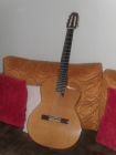Guitarra clasica-flamenca"scenario"enrique lorenzo - mejor precio | unprecio.es