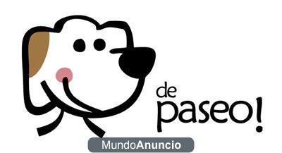 Paseadores de perros en Las Palmas de GC