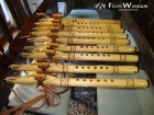 Flauta Nativa Americana - Flutewarrior - mejor precio | unprecio.es