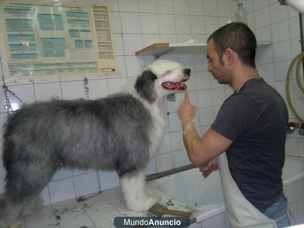 PELUQUERIA CANINA/FELINA EN ESPARRAGUERA