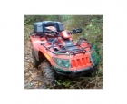 ARCTIC CAT 50 - mejor precio | unprecio.es